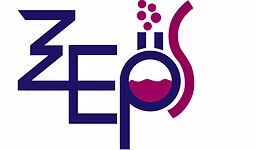 ZEPS: New Scientific Programs for High School Students