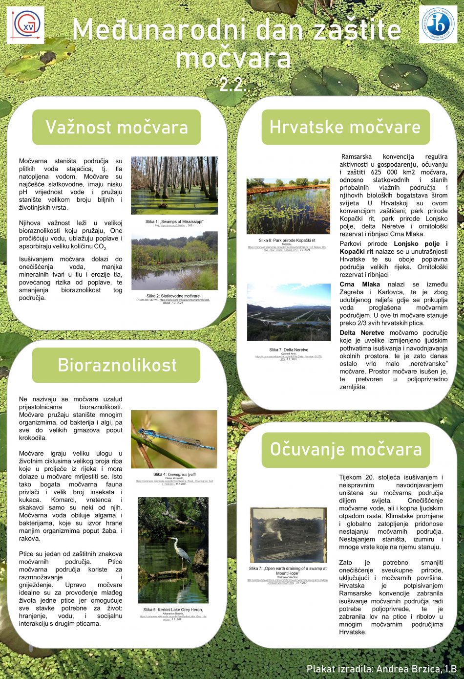 MOČVARE -GLOBE plakat