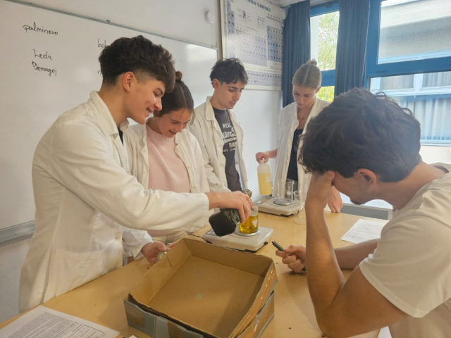 WhatsApp Image 2025-12-23 at 20.53.59 (4)